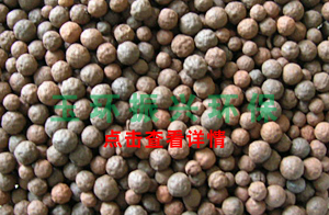 ZH生物滤池多密孔球型滤料