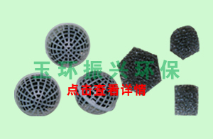 ZH高效生物硝化菌载体填料